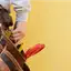 Handyman repair service in Indianapolis, IN for home fixes and improvements